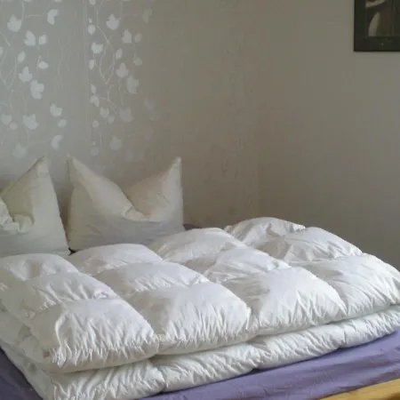 Vakantiehuis Quaint Holiday In With Sauna *