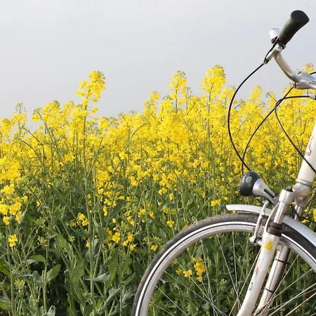 Quaint Holiday In With Sauna